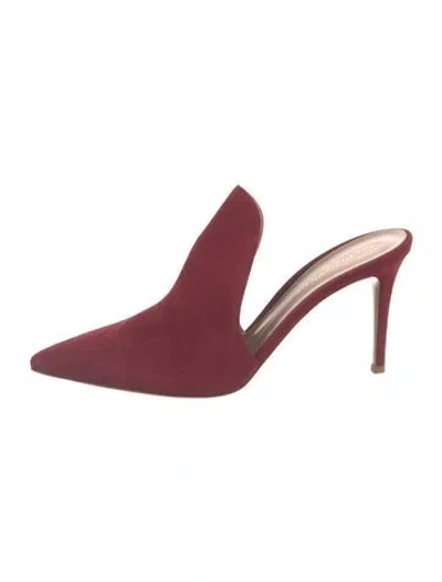 Pre-owned Gianvito Rossi Suede Mules W/ Tags In Burgundy