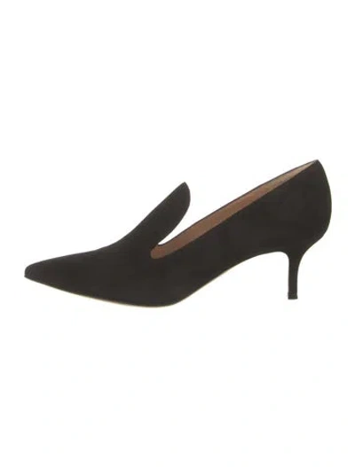 Pre-owned Gianvito Rossi Suede Pumps In Black