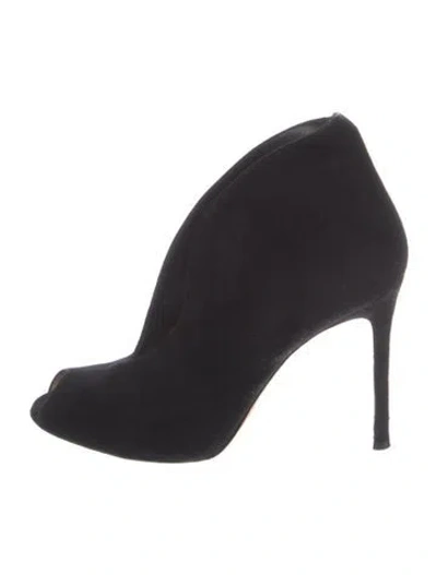 Pre-owned Gianvito Rossi Suede Pumps In Black