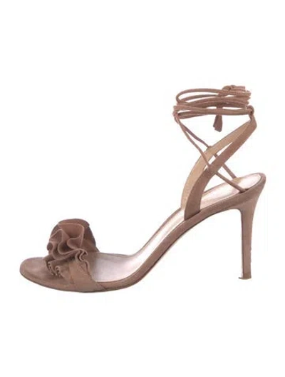 Pre-owned Gianvito Rossi Suede Ruffle Embellishment Gladiator Sandals In Neutral