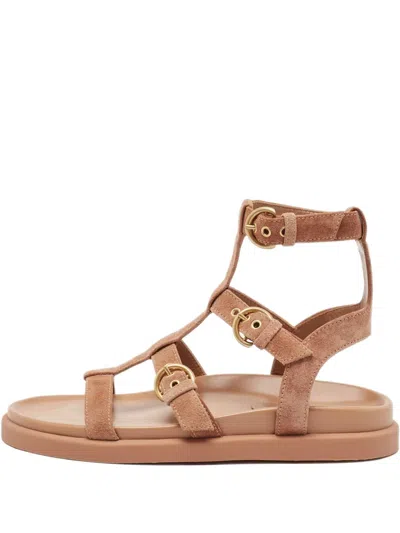Pre-owned Gianvito Rossi Suede Sandals In Brown