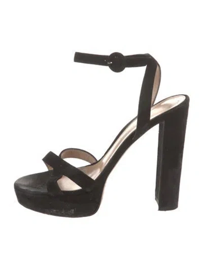 Pre-owned Gianvito Rossi Suede Sandals In Black