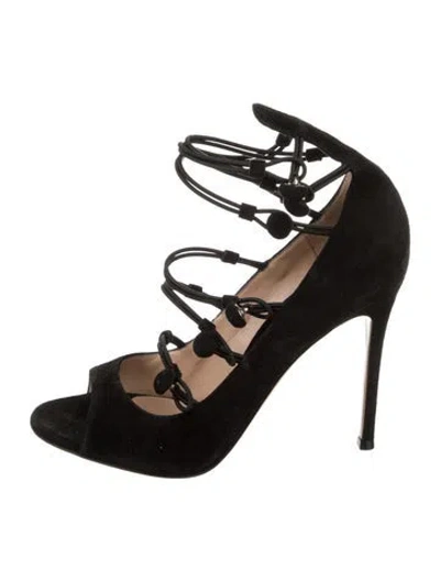 Pre-owned Gianvito Rossi Suede Sandals In Black