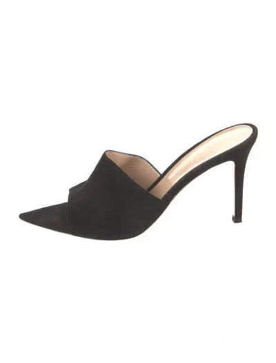 Pre-owned Gianvito Rossi Suede Slides In Black