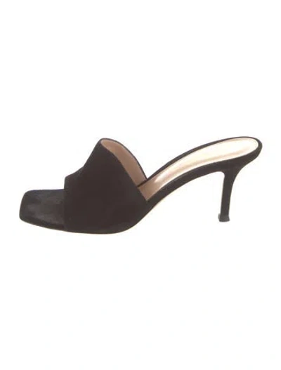 Pre-owned Gianvito Rossi Suede Slides In Brown
