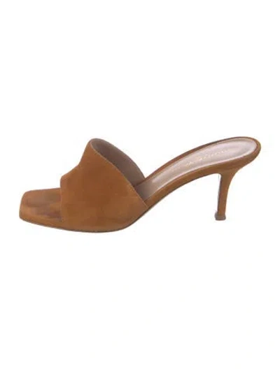 Pre-owned Gianvito Rossi Suede Slides In Orange