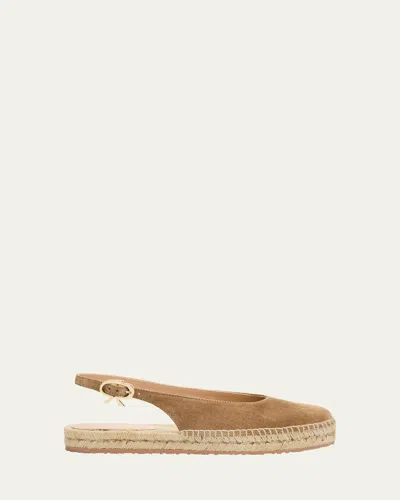 Gianvito Rossi Suede Slingback Ballerina Espadrilles In Brown