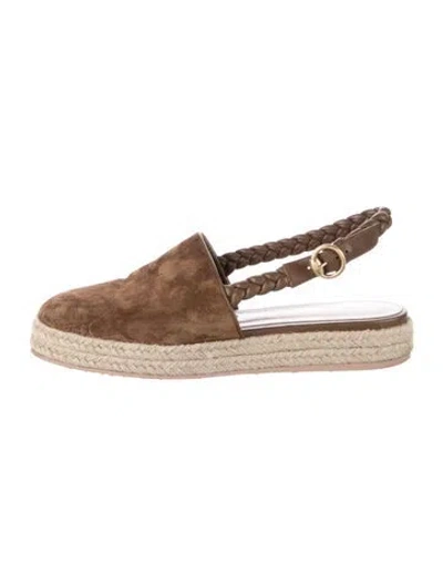 Pre-owned Gianvito Rossi Suede Slingback Flats In Brown