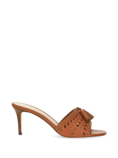Gianvito Rossi Fes 70 Cut-out Leather Mules In Brown