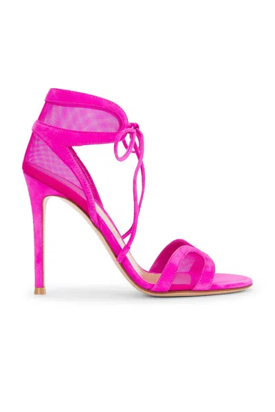 Gianvito Rossi Tie Sandal In Bloom