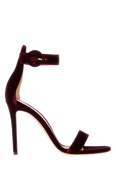 Gianvito Rossi Tiziano Red Velvet Portofino 105 Sandals In Black