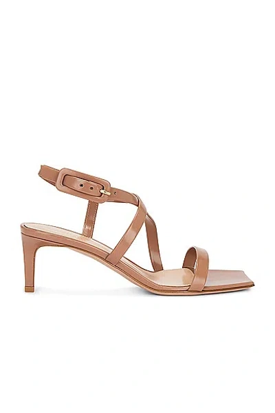 Gianvito Rossi Tokio Heels In Praline