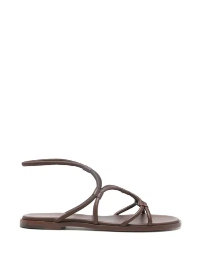 Gianvito Rossi Tubolare-strap Sandals In Brown