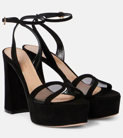 Gianvito Rossi Velvet And Mesh Platform Sandals