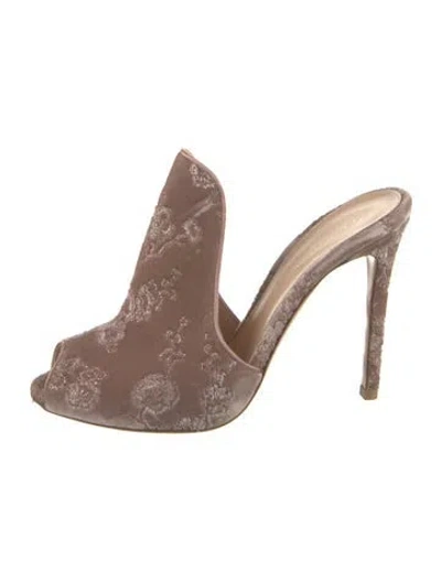 Pre-owned Gianvito Rossi Velvet Floral Print Mules In Neutral