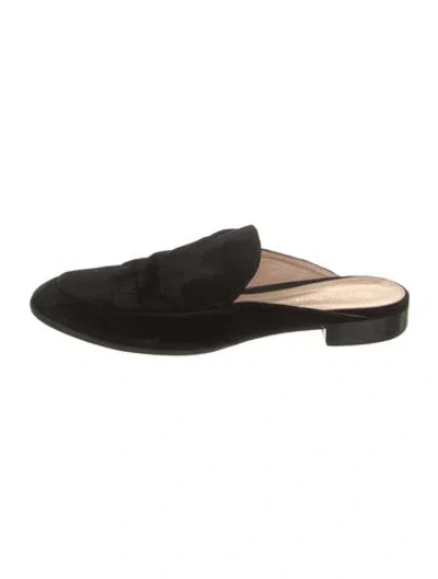 Pre-owned Gianvito Rossi Velvet Mules In Black