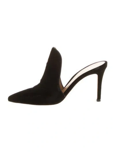 Pre-owned Gianvito Rossi Velvet Mules In Black