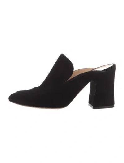 Pre-owned Gianvito Rossi Velvet Mules In Black