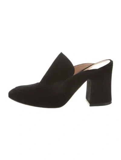 Pre-owned Gianvito Rossi Velvet Mules In Black