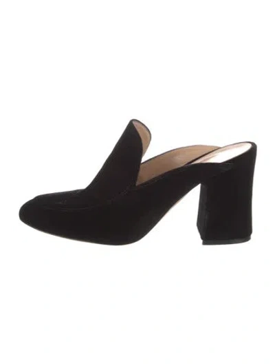 Pre-owned Gianvito Rossi Velvet Mules In Black