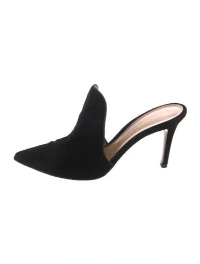 Pre-owned Gianvito Rossi Velvet Mules In Black