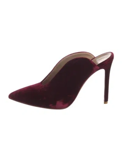 Pre-owned Gianvito Rossi Velvet Mules In Burgundy