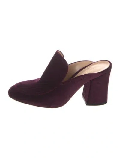 Pre-owned Gianvito Rossi Velvet Mules In Purple