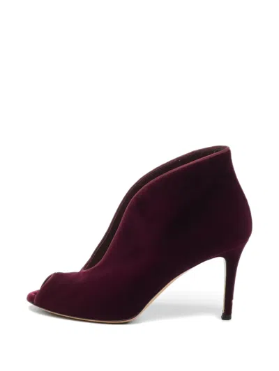 Pre-owned Gianvito Rossi Velvet Peep-toe Ankle Boots In Purple