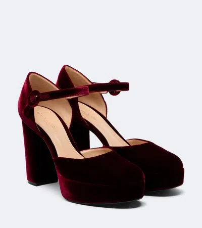 Gianvito Rossi Velvet Platform Pumps In Red