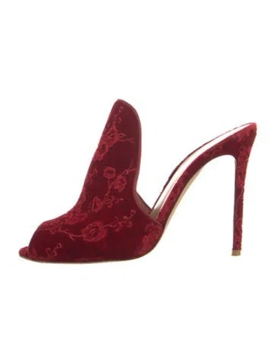 Pre-owned Gianvito Rossi Velvet Printed Mules In Red