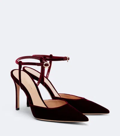 Gianvito Rossi Velvet Pumps In Brown