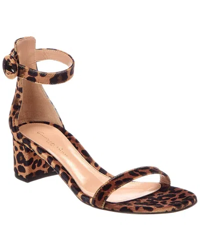 Gianvito Rossi Velvet Sandal In Animal Print