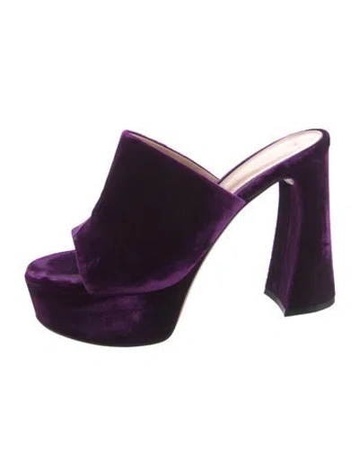 Pre-owned Gianvito Rossi Velvet Slides In Purple