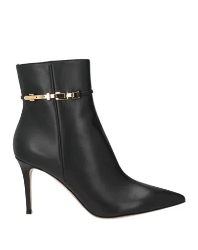 Gianvito Rossi Woman Ankle Boots Black Size 12 Calfskin In Multi