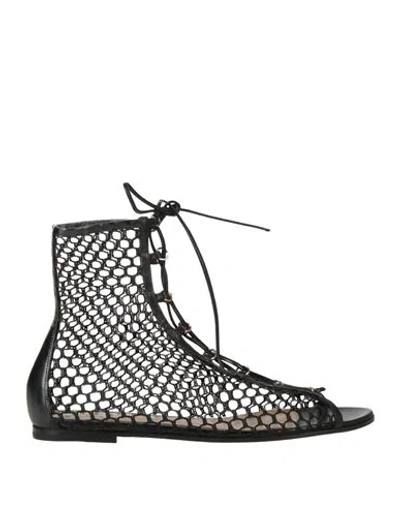 Gianvito Rossi Woman Ankle Boots Black Size 6 Textile Fibers, Leather