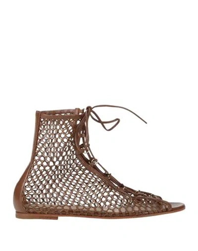 Gianvito Rossi Woman Ankle Boots Brown Size 5.5 Textile Fibers, Leather In Brown