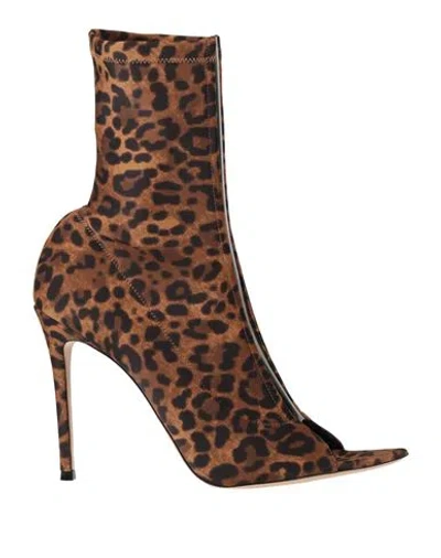 Gianvito Rossi Woman Ankle Boots Brown Size 6.5 Textile Fibers, Plastic