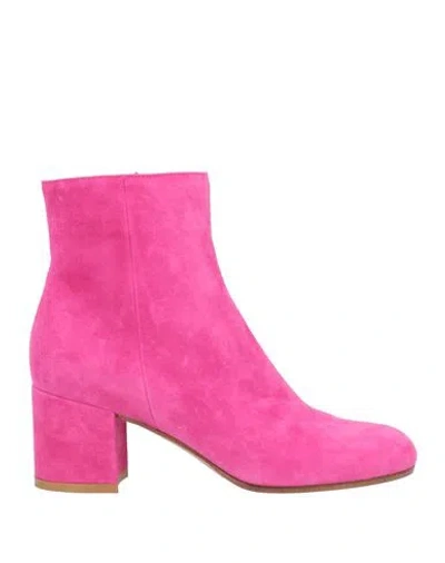 Gianvito Rossi Woman Ankle Boots Fuchsia Size 6.5 Leather In Pink