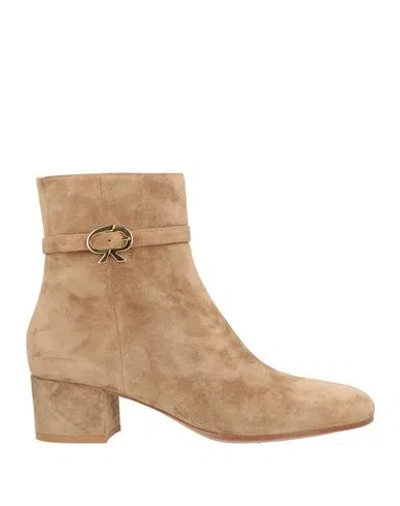 Gianvito Rossi Woman Ankle Boots Khaki Size 5 Leather In Brown