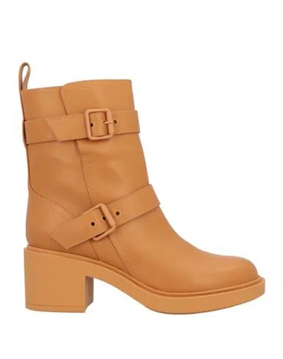 Gianvito Rossi Woman Ankle Boots Tan Size 9 Calfskin In Brown