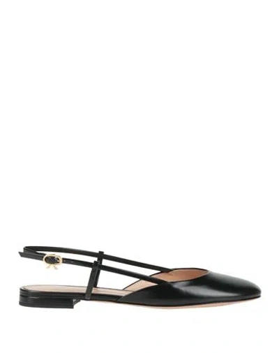 Gianvito Rossi Woman Ballet Flats Black Size 7 Leather
