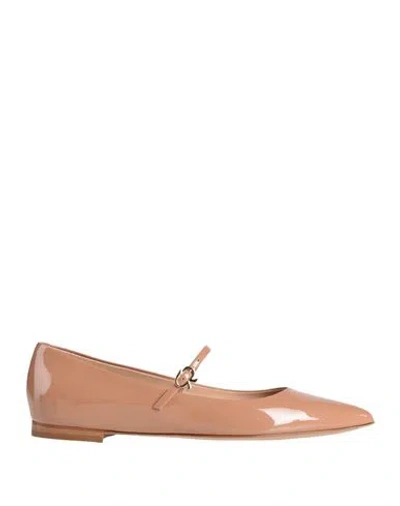 Gianvito Rossi Woman Ballet Flats Blush Size 8 Leather In Brown
