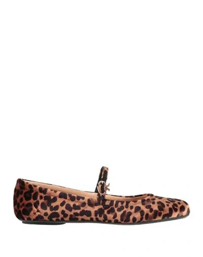 Gianvito Rossi Woman Ballet Flats Camel Size 11 Textile Fibers In Sand