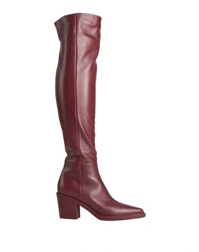 Gianvito Rossi Woman Boot Plum Size 8 Leather