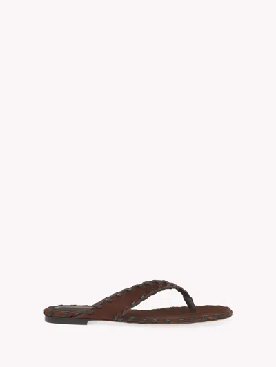 Gianvito Rossi Zaira Thong Flat Sandals In Brown