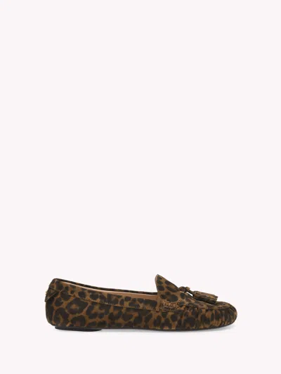 Gianvito Rossi Woman In Brown
