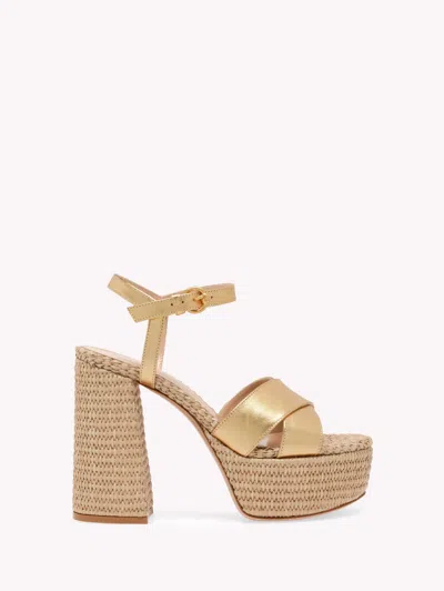 Gianvito Rossi Solid Leather Platform Sandals In Brown
