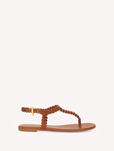 Gianvito Rossi Woman In Brown
