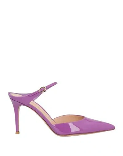 Gianvito Rossi Woman Mules & Clogs Purple Size 9 Leather