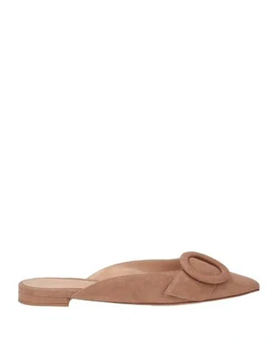 Gianvito Rossi Woman Mules & Clogs Sand Size 7 Leather In Brown